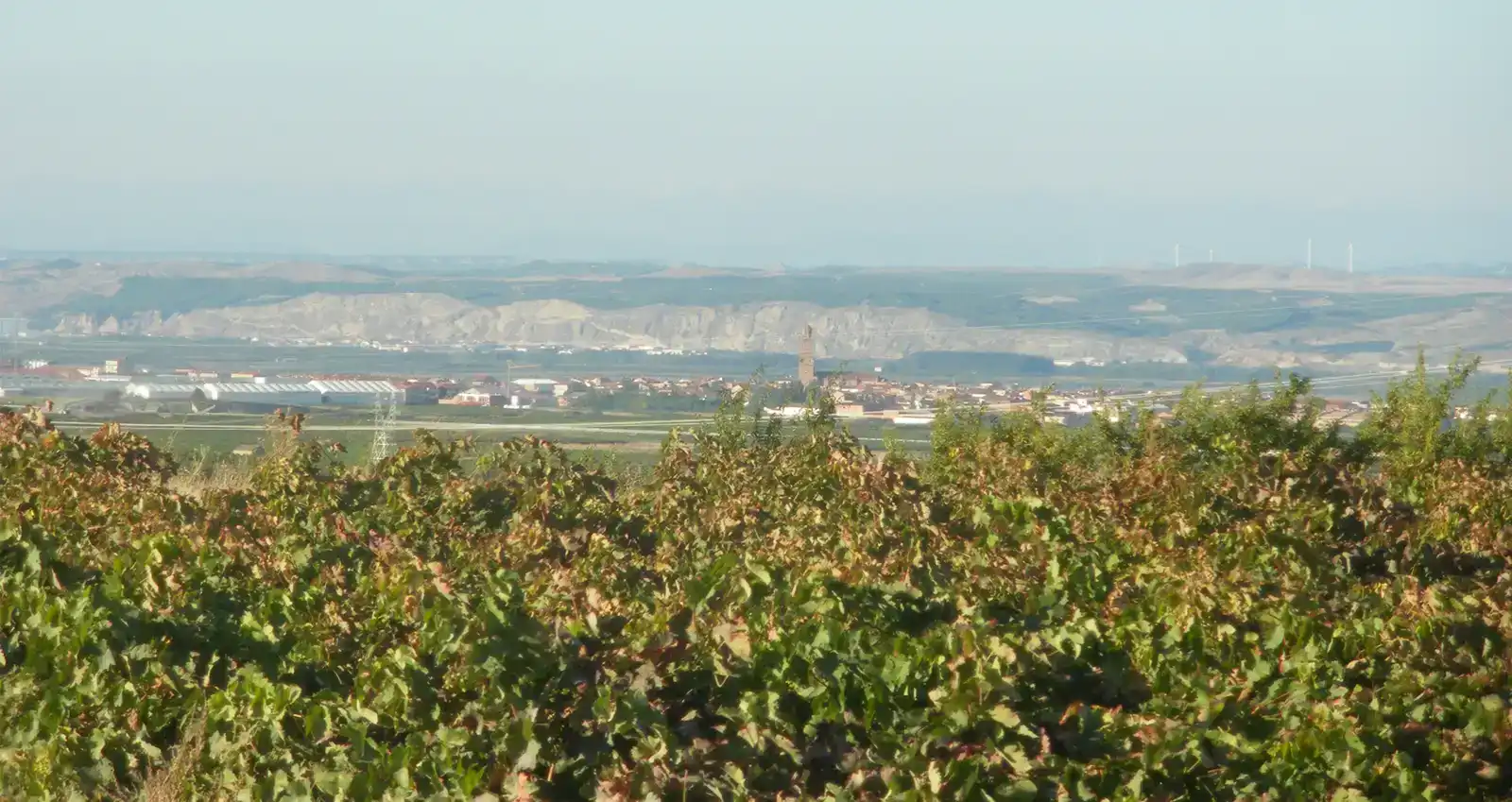 El valle del Ebro al fondo